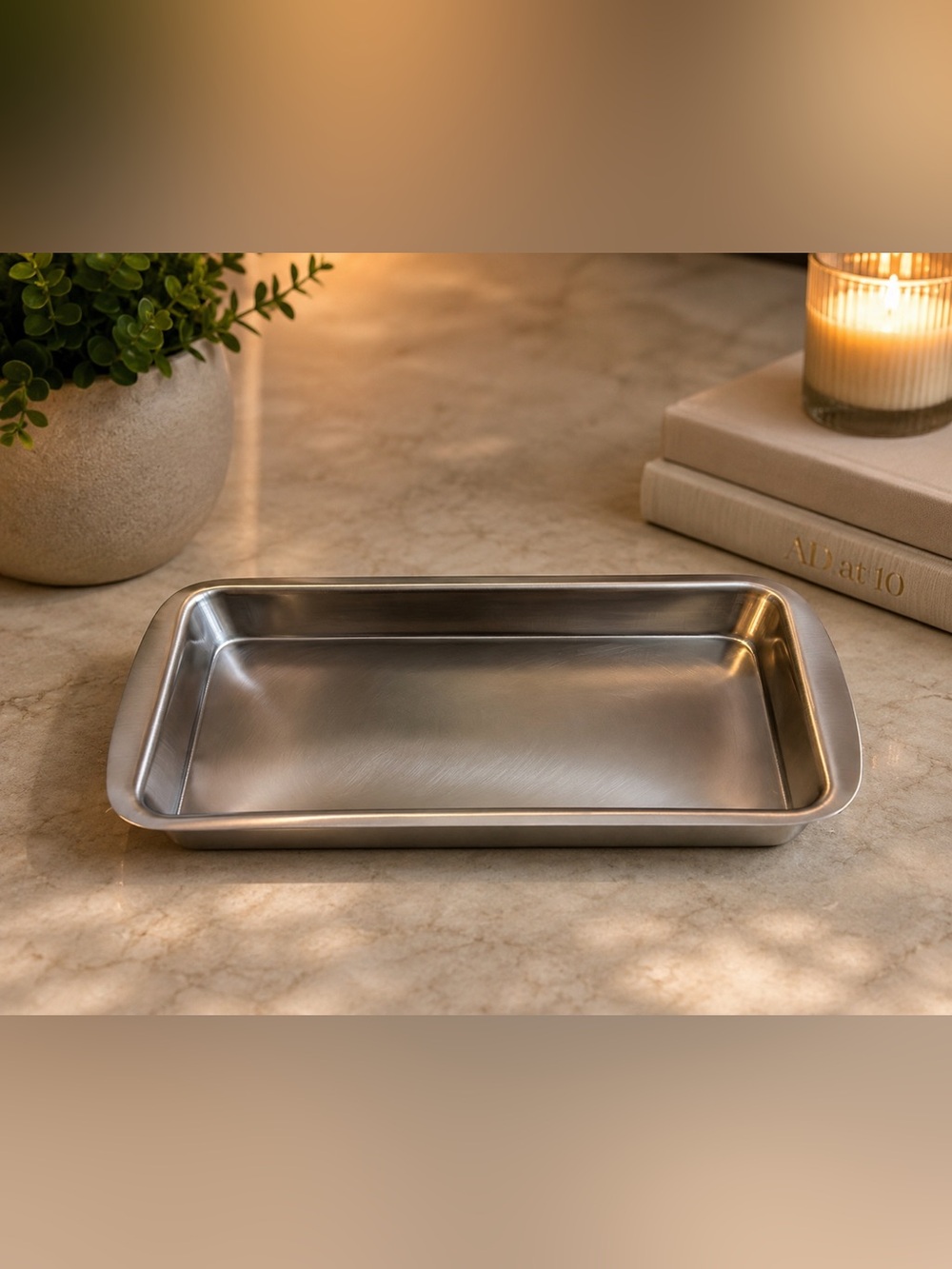 NWOT Stainless Steel Tray